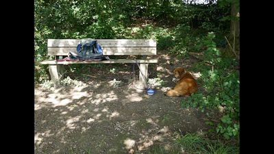 Klicken vergr&ouml;&szig;ert