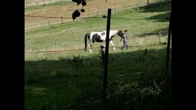 Klicken vergr&ouml;&szig;ert