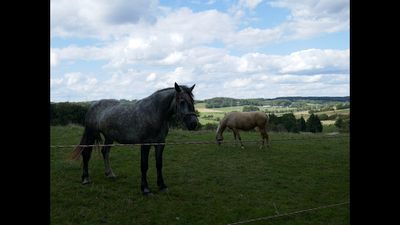 Klicken vergr&ouml;&szig;ert